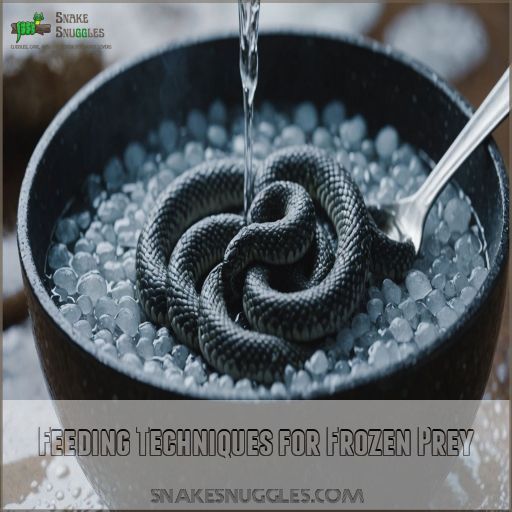 View of Frozen Snake Food Thawing: Tips for Safe and Easy Feeding