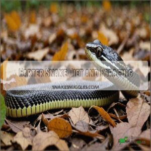 Garter Snake Diet and Foraging