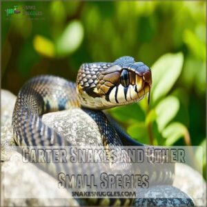 Garter Snakes and Other Small Species