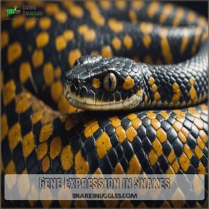 Gene Expression in Snakes