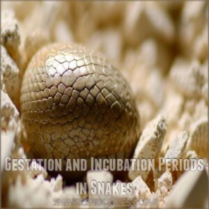 Gestation and Incubation Periods in Snakes