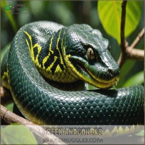 Green Anacondas