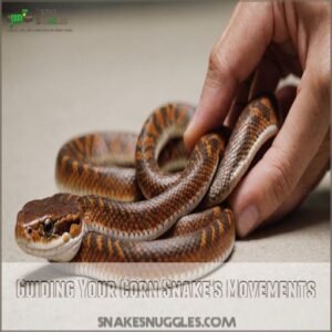 Guiding Your Corn Snake