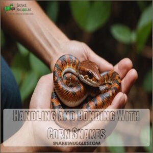 Handling and Bonding With Corn Snakes