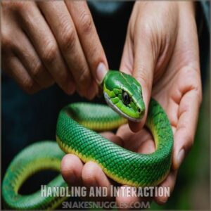 Handling and Interaction