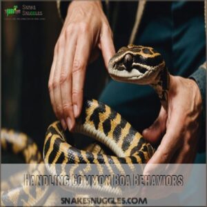 Handling Common Boa Behaviors