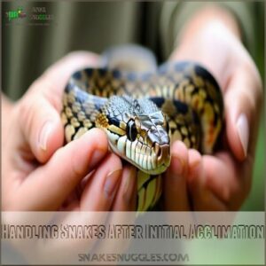 Handling Snakes After Initial Acclimation