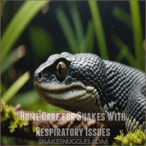 Home Care for Snakes With Respiratory Issues