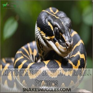 Importance of Humidity for Ball Pythons