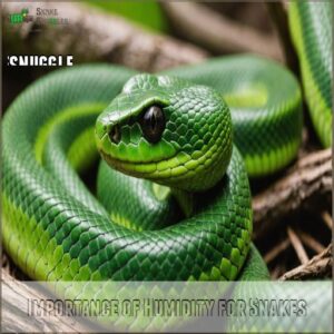 Importance of Humidity for Snakes