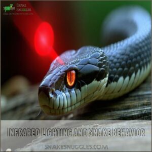 Infrared Lighting and Snake Behavior