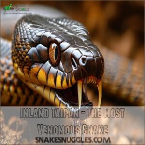 Inland Taipan - The Most Venomous Snake