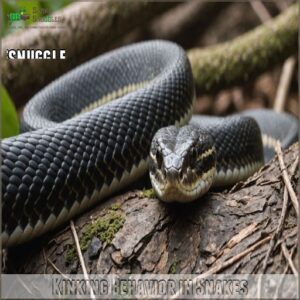 Kinking Behavior in Snakes