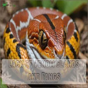 Lack of Venom Glands and Fangs Lack of Venom Glands and Fangs