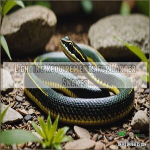 Lighting Requirements for Garter Snakes