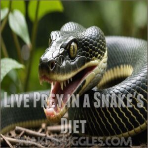 Live Prey in a Snake