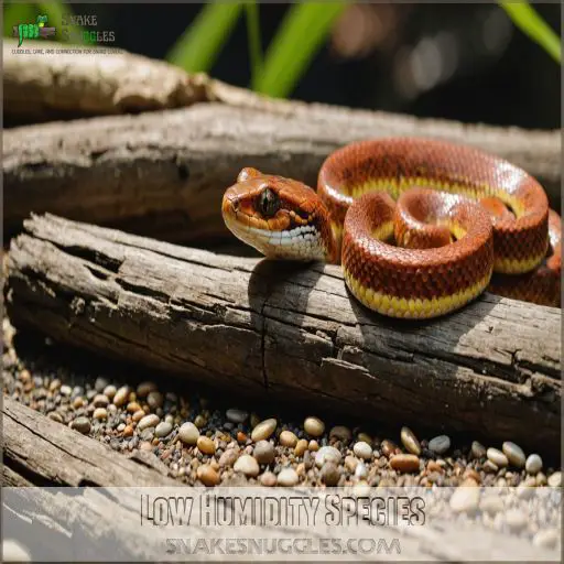 Snake Humidity Requirements: Keep Your Pet Healthy & Happy - Houston Frozen-Thawed Snake Humidity Levels
