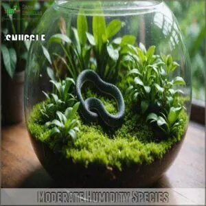 Moderate Humidity Species Moderate Humidity Species