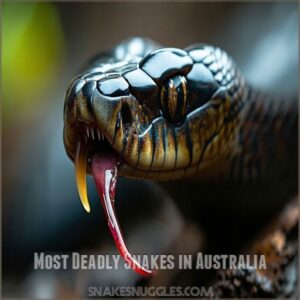 Most Deadly Snakes in Australia