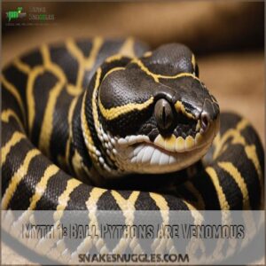 Myth 1: Ball Pythons Are Venomous