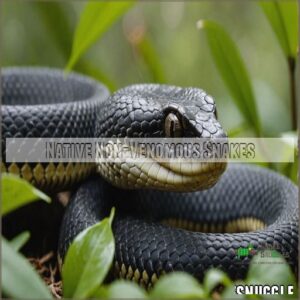 Native Non-Venomous Snakes