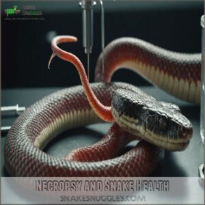 Necropsy and Snake Health