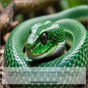 Nutrients for Healthy Snake Skin