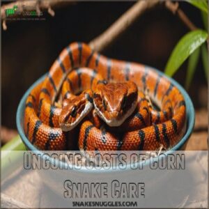 Ongoing Costs of Corn Snake Care