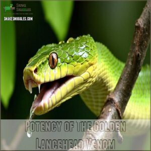 Potency of The Golden Lancehead Venom