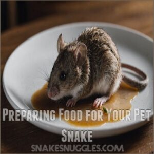 Preparing Food for Your Pet Snake