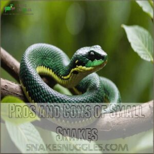 Pros and Cons of Small Snakes