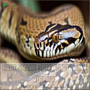 Rare Snake Species for Sale Online