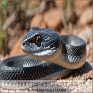 Rat Snakes and Whipsnakes