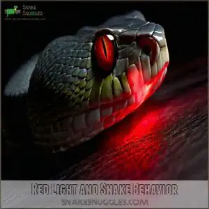 Red Light and Snake Behavior