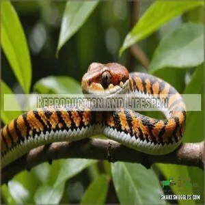 Reproduction and Lifespan Reproduction and Lifespan