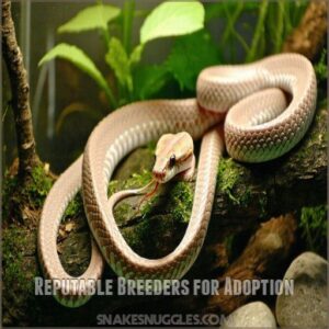 Reputable Breeders for Adoption