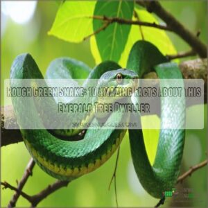 rough green snake