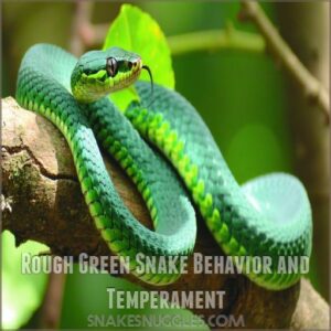 Rough Green Snake Behavior and Temperament