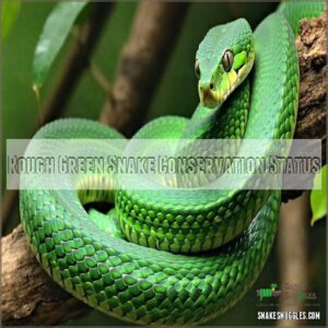 Rough Green Snake Conservation Status