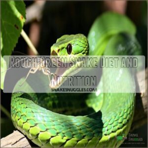 Rough Green Snake Diet and Nutrition