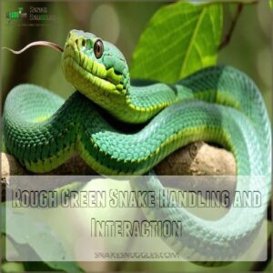 Rough Green Snake Handling and Interaction