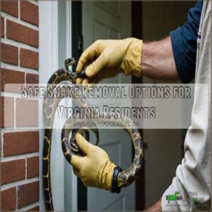 Safe Snake Removal Options for Virginia Residents