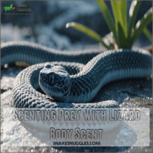 Scenting Prey With Lizard Body Scent