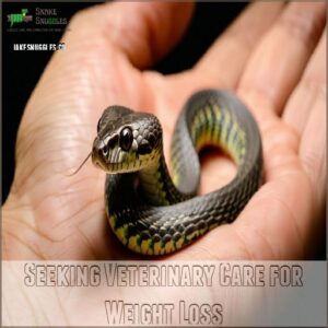 Seeking Veterinary Care for Weight Loss