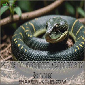 Signs of Digestive Problems in Snakes