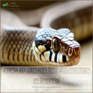 Signs of Hunger and Starvation in Snakes