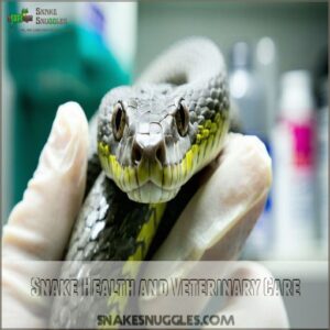 Snake Health and Veterinary Care