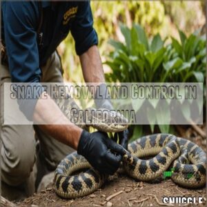 Snake Removal and Control in California