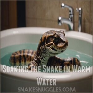 Soaking The Snake in Warm Water