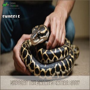 Support The Snake